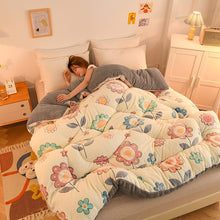 Load image into Gallery viewer, Winter lamb velvet thickened warm quilt winter double single comforter home cotton 6kg quilt core double-sided velvet quilt