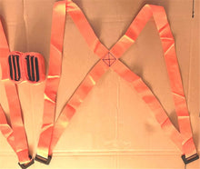 Load image into Gallery viewer, Furniture Moving Strap