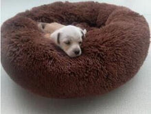 Load image into Gallery viewer, DIY Dog and catlong plush dounts calming - ROSAMISS STORE